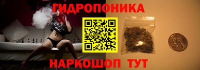 прущие грибы Кандалакша