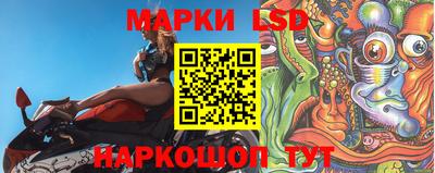прущие грибы Кандалакша