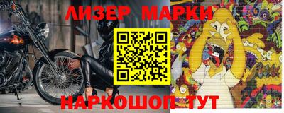 прущие грибы Кандалакша