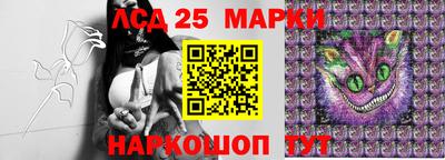 прущие грибы Кандалакша
