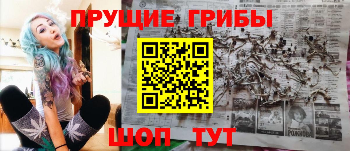 Псилоцибиновые грибы мухоморы  Псилоцибиновые грибы Magic Shrooms  Вход с VPN  Красный Сулин 